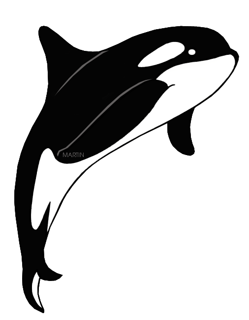 kisspng-clip-art-killer-whale-the-orca-cetacea-image-united-states-clip-art-by-phillip-martin-state-ma-5b62e16a6e9ae8.2622514515332068904531.png